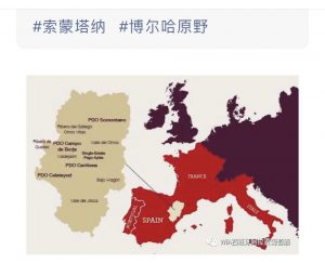 Los vinos aragoneses se promocionan en WeChat, la principal red social china
