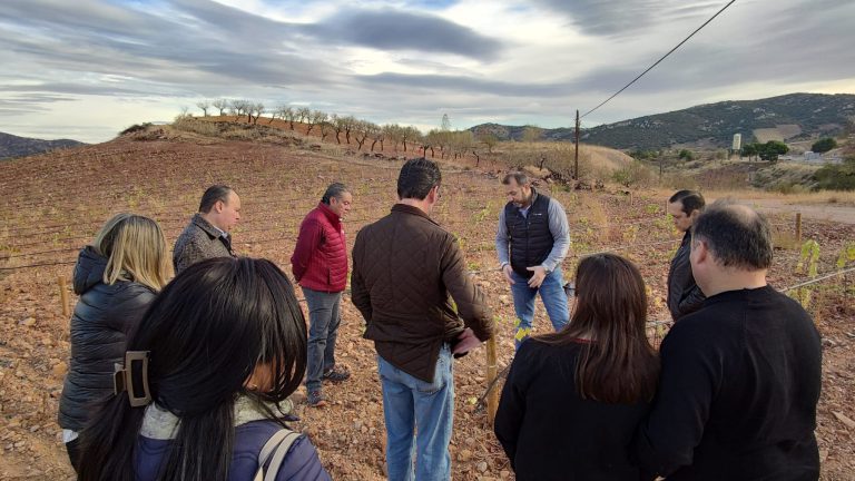 Visita a Bodegas Langa, en la DOP Calatayud, de los compradores de México y Perú que recorren esta semana Aragón