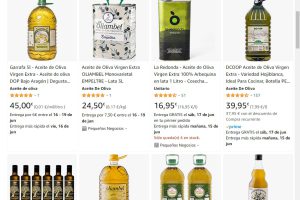 Lee más sobre el artículo Las pymes aragonesas que venden en Amazon ya superan los 15 millones de euros en exportaciones