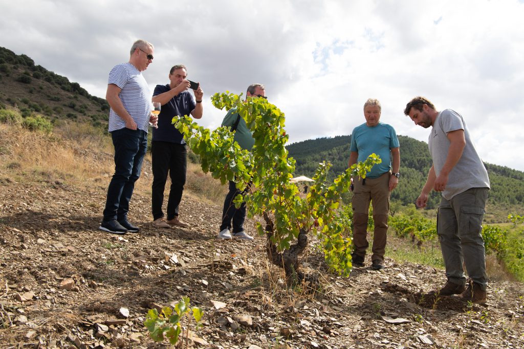 Cinco importadores de la República Checa descubren los vinos de la DOP Calatayud