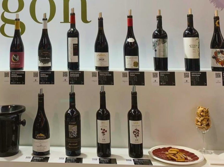 Lee más sobre el artículo Túnel de vino en Prowein 2024