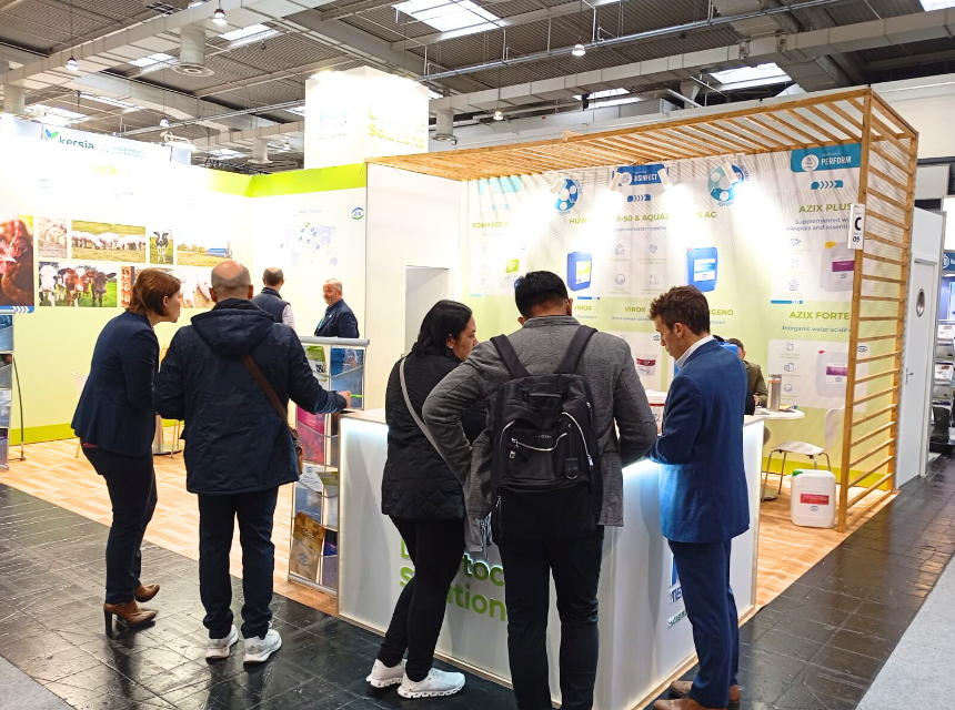 W Imagen destacada (12)