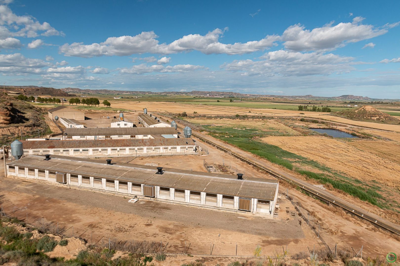 En este momento estás viendo Aragón pide al Ministerio intensificar las negociaciones internacionales para proteger las exportaciones de porcino