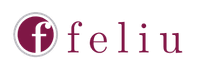 Logotipo de Feliu N&I