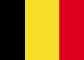 Bandera del país