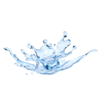 Agua, Energía y Medio Ambiente
